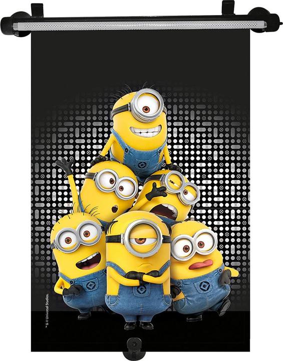 Disney Interactive Studios Minions