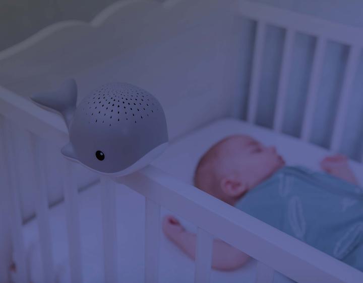 Actual product image ZaZu Wally