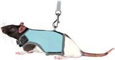 Actual product image Trixie Soft harness with leash (One size, Rodents, General)