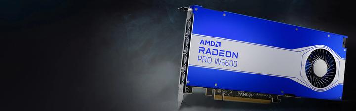 Actual product image AMD Radeon Pro W6600 (8 GB)