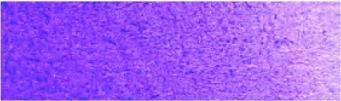 Manganviolett