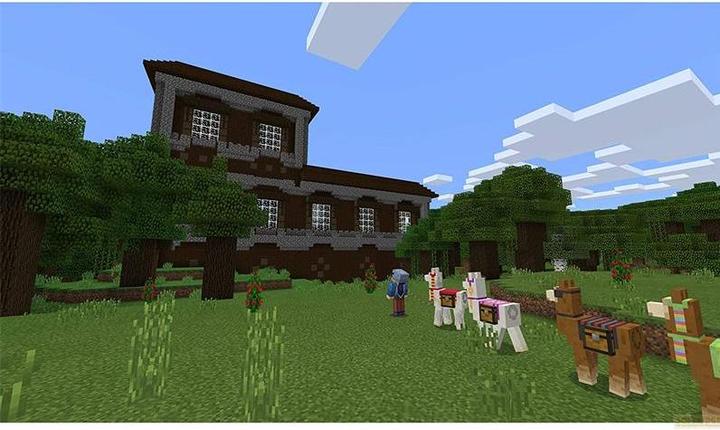 Immagine prodotto Mojang Minecraft (PS3, EN)