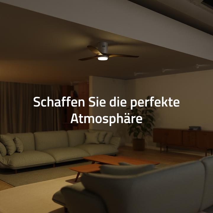 Immagine prodotto Hombli Deckenventilator mit Licht (43 dB)