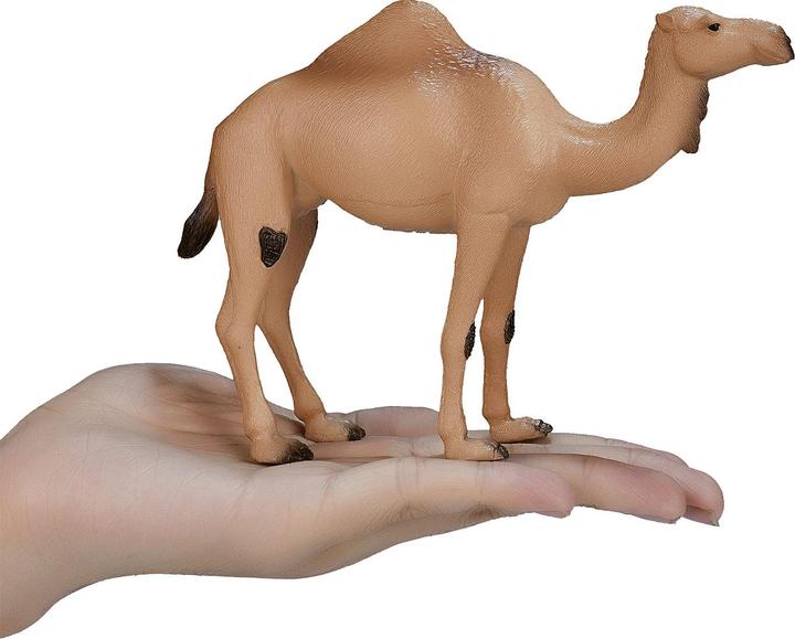 Productafbeelding Animal Planet Dromedaris