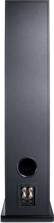 Immagine prodotto Canton Chrono 90 DC (1 pz., 160 W)