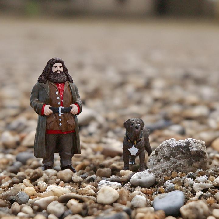 Productafbeelding Schleich Hagrid & Fang
