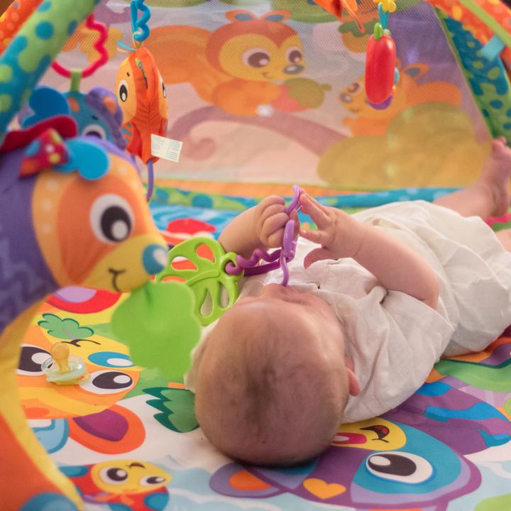 Produktbild Playgro Woodlands Projector Gym