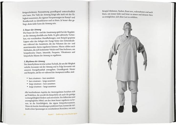 Actual product image Shaolin Spirit (German, Shi Heng Yi, Stefanie Koch, 2023)