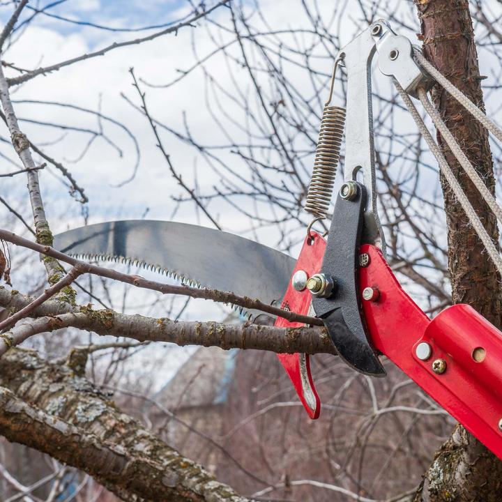 Actual product image Wiltec XPOtool telescopic 2in1 pruning shears 100-200cm rope pull pruning shears