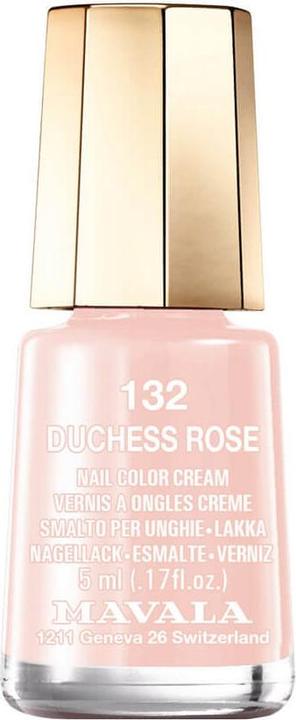 132 Rosa Duchessa