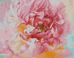 Immagine prodotto NoName Mosaico di diamanti - Peonia delicata 40x50