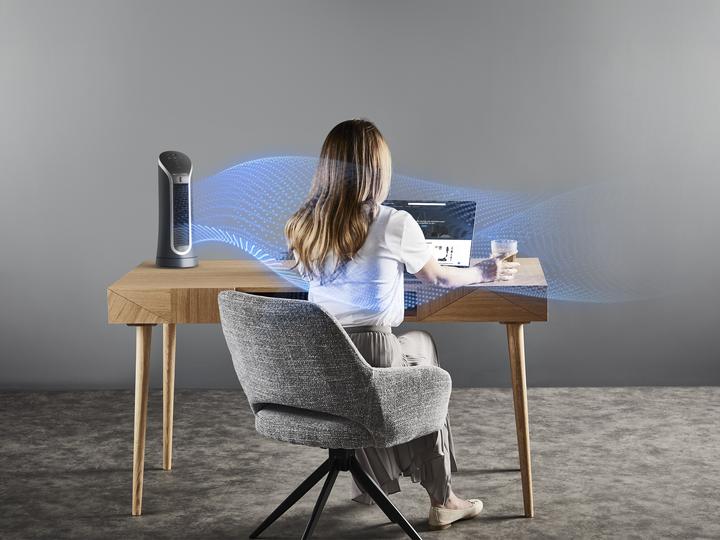 Actual product image Rowenta Eole Compact VU6220 (57 dB)