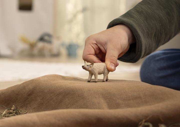 Image du produit Schleich Porc laineux Porcelet