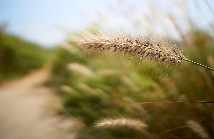 Image du produit Samyang 21mm f1.4, Fujifilm (Fujifilm Fujinon XF, APS-C / DX)