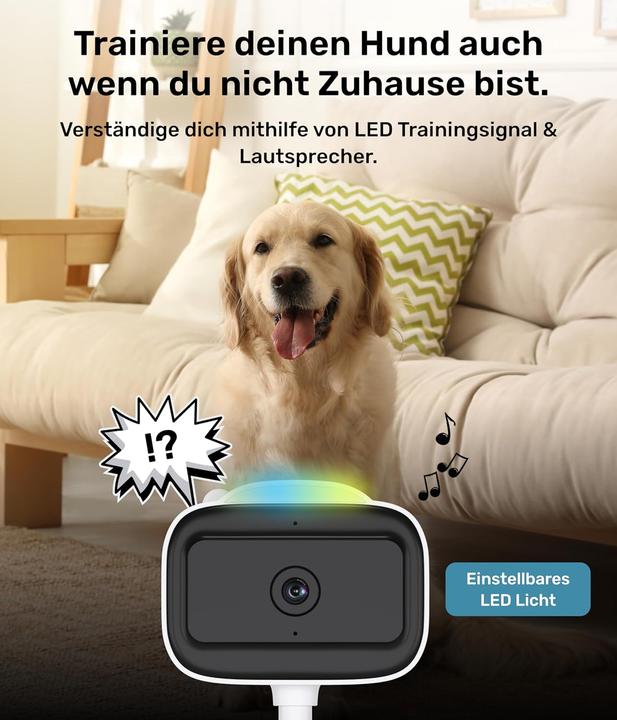 Image du produit PetTec Überwachungskamera mit App und Nachtsicht