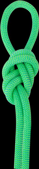 Actual product image Salewa Speed Queen 9.1 climbing rope (80 m)
