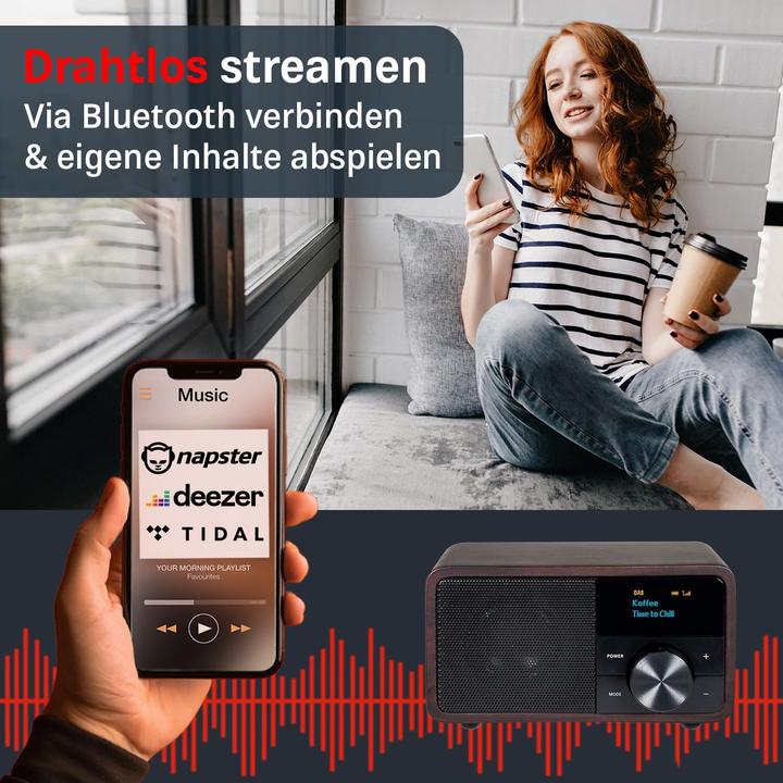 Produktbild Kathrein DAB+ 1 mini (DAB+, UKW, FM, Bluetooth)