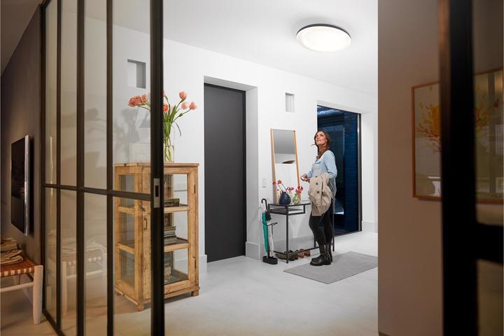 Image du produit Philips Hue Struana Base BT (2400 lm)