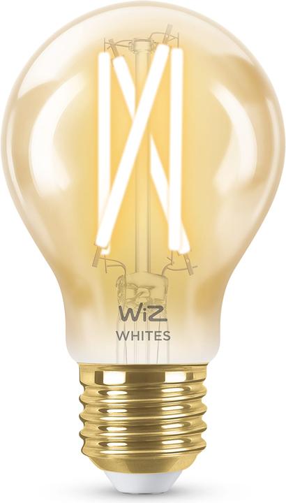 Vintage Filament (E27, 6.70 W, 640 lm, 1 x, E)
