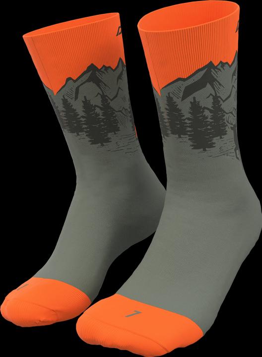 Immagine prodotto Dynafit Calzini Stay Fast Unisex (35 - 38)