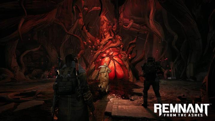 Image du produit THQ Remnant : From the Ashes (PS4, DE)