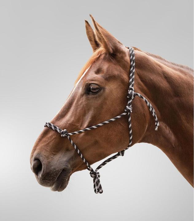 Actual product image Waldhausen Knot halter