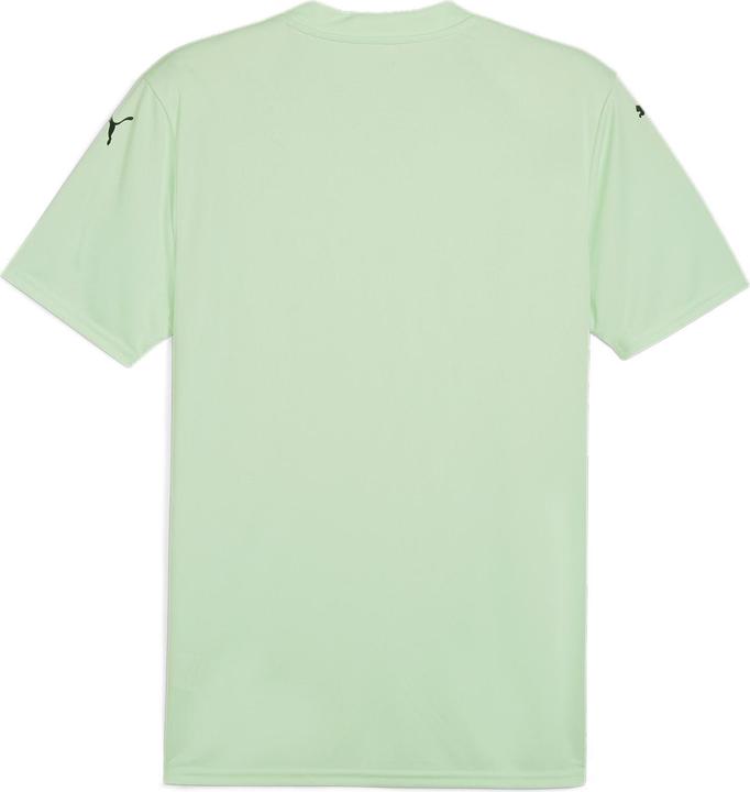 Actual product image Puma teamGLORY Jersey (L)