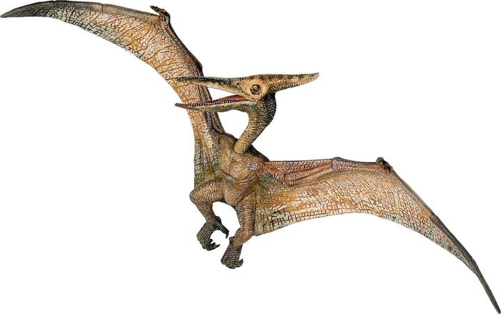 Image du produit Papo Pteranodon