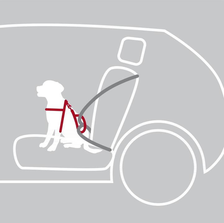 Actual product image Trixie Car Harness Dog Protect (Dog, Washable, Reflectors)