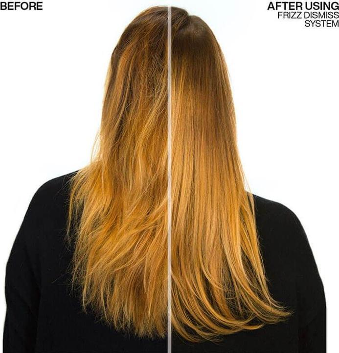 Actual product image Redken Frizz Dismiss Rebel Tame (250 ml)