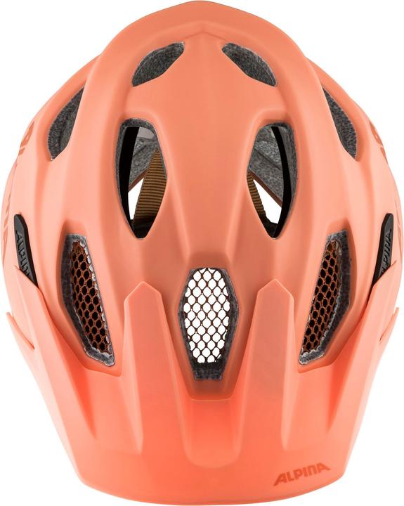 Actual product image ALPINA SPORTS Carapax JR (51 - 56 cm)