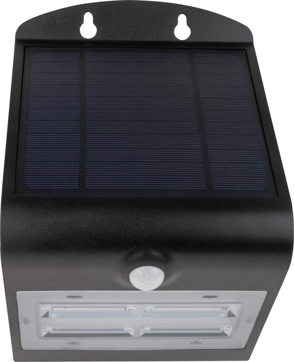 Actual product image REV Solar LED Butterfly with motion detector (400 lm, IP54)