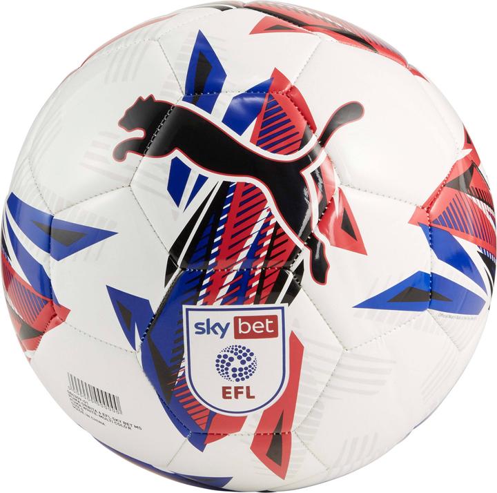 Produktbild Puma Orbita 6 EFL Sky Bet Trainingsfussball 2024/25