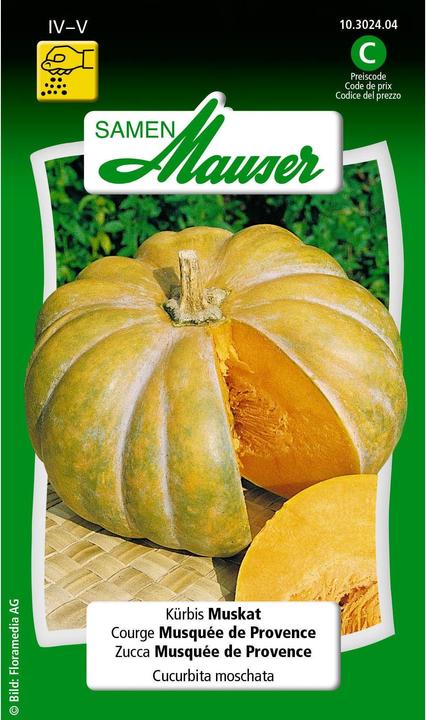 Kürbis Muskat (Gemüsesamen)