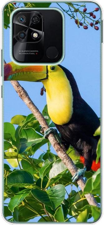 Tucan