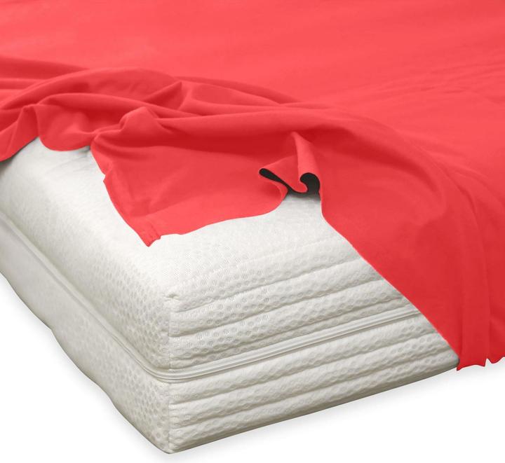 Immagine prodotto Traumschlaf Fine Beaver House Sheet Lenzuolo da letto (220 x 260 cm)