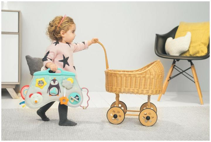 Actual product image Taf Toys North Pole