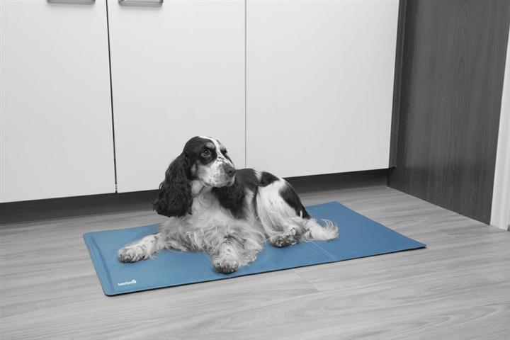 Produktbild Beeztees Kühlmatte Quick (Hund)
