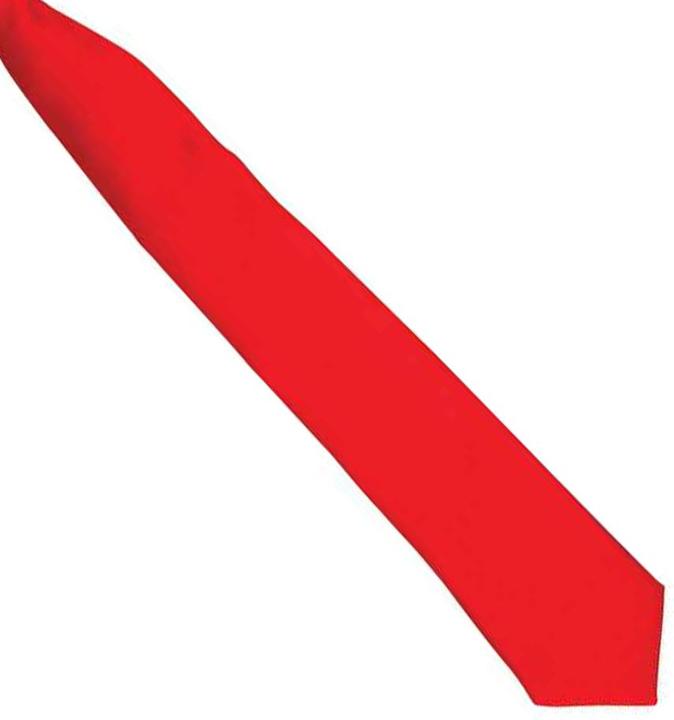 Image du produit Premier Cravate en satin à clipser