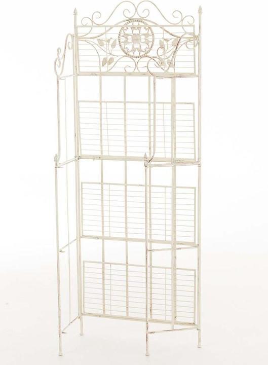 Immagine prodotto CLP Scaffale Flora, crema antico (66 x 32 x 175 cm)