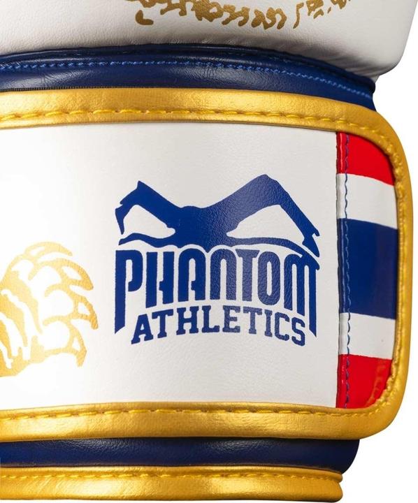 Image du produit Phantom Athletics Gants De Boxe Muay Thai (16 OZ, Taille unique)