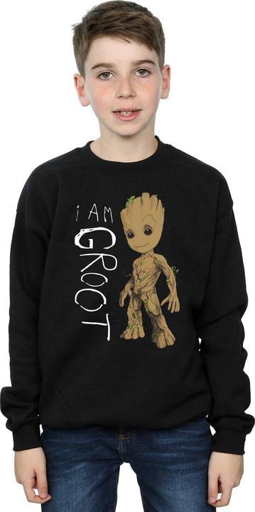 Produktbild Guardians Of The Galaxy I Am Groot Scribbles Sweatshirt Jungen (128)