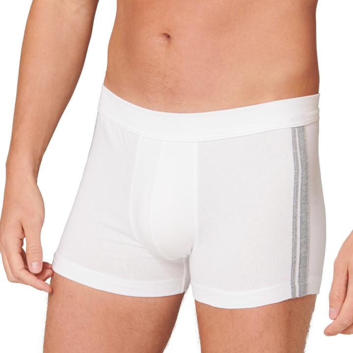 Actual product image Schiesser Pack of 6 - 95/5 Stretch - Organic Cotton 95/5 Stretch Organic Cotton (M, pack of 6)