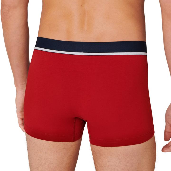 Actual product image Schiesser Pack of 6 - 95/5 - Organic Cotton Shorts / Pants (XXL, pack of 6)