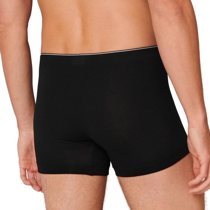 Actual product image Schiesser 3-pack 95/5 Originals - Organic Cotton 95/5 Originals - Organic Cotton (3XL, pack of 3)