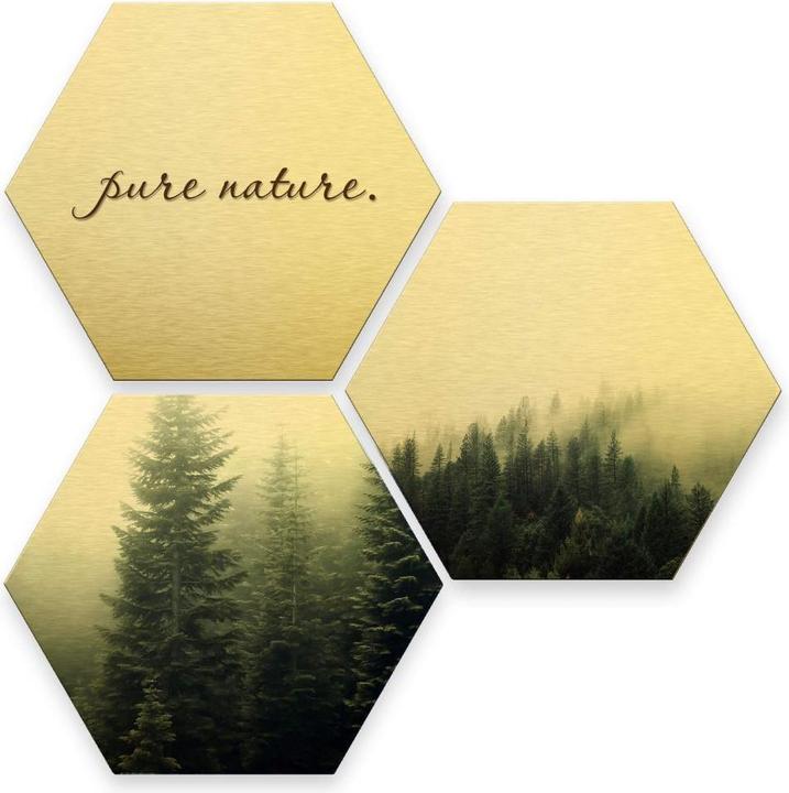 Image du produit Trenddeko Hexagone - effet doré - Pure Nature Forêt (lot de 3) (35 x 30 cm)