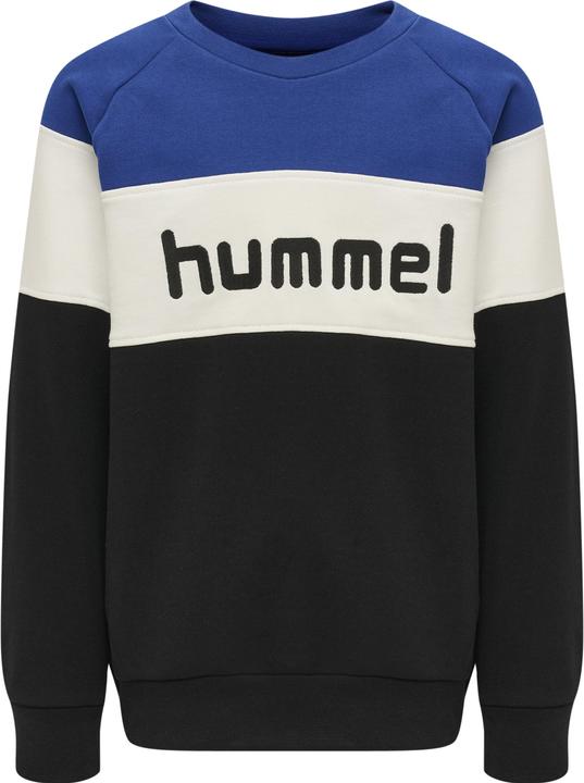 Actual product image hummel Claes Sweatshirt (110)