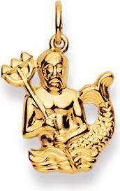 Natsumi Schmuck Anhänger Sternzeichen Wassermann Gelbgold 18K/750 gross (750/18 K Gelbgold)