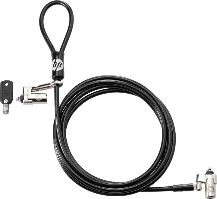 Actual product image HP Dual Head Keyed Cable Lock
