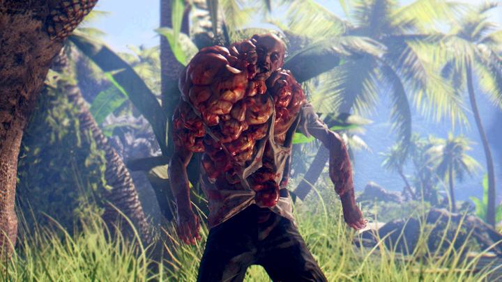 Actual product image Deep Silver Dead Island Definitive Edition Collection (PS4, DE)